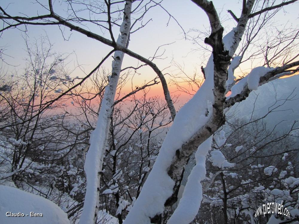 30 Betulle coperte di neve.JPG